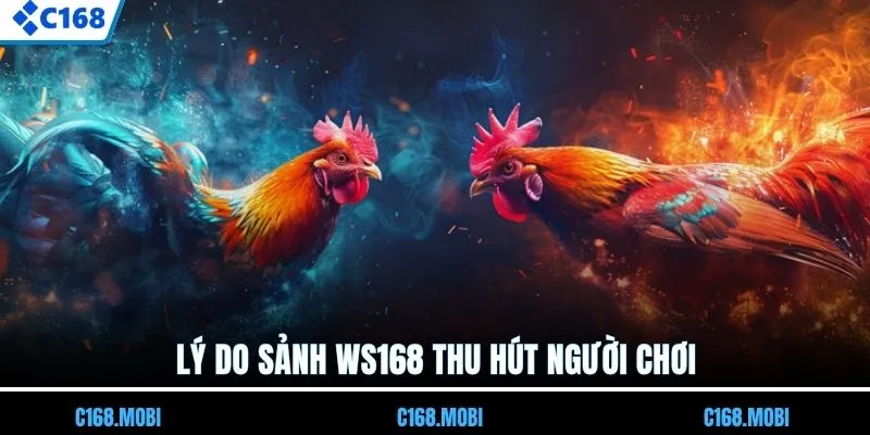 Lý do sảnh WS168 thu hút người chơi